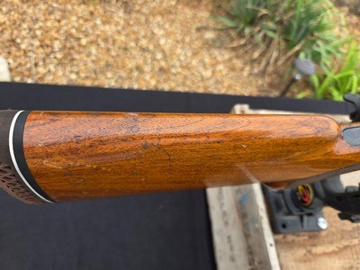BROWNING A5 12 GA RHODESIAN CLONE - Image 14 of 19