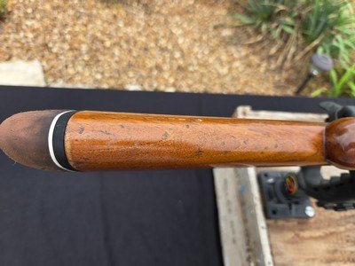 BROWNING A5 12 GA RHODESIAN CLONE - Image 15 of 19