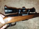 Winchester Model 88 243 Win. Red W, beautiful wood!
Collector Grade flawless. - 8 of 12