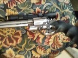 Colt - 9 of 15