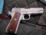 Colt - 2 of 12