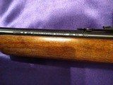 Marlin - 11 of 14