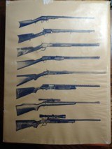 COLT FIREARMS - 7 of 10