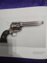Colt - 6 of 8