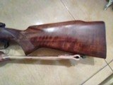 Winchester M70, pre-64, .30-06 Springfield - 14 of 15