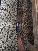 Winchester model 1200 in 20 gauge - 7 of 12