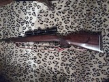 WEATHERBY MARK V .257 Weatherby Magnum - 12 of 13