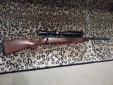 Weatherby Vanguard, .22-250 - 4 of 10