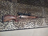 Weatherby Mark V, .257 Weatherby Magnum - 8 of 15