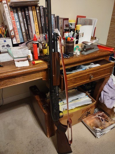 Browning BPS, 10 GAUGE MAGNUM - Image 7 of 14