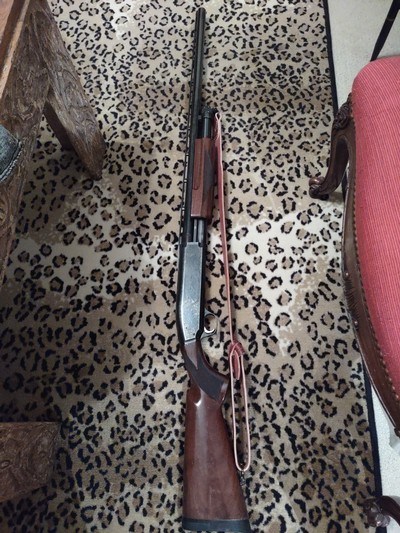 Browning BPS, 10 GAUGE MAGNUM - Image 12 of 14