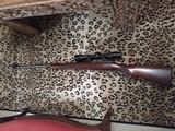 Winchester Model 70 Pre-64, .220 Swift - Image 15 of 15
