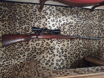 Winchester Model 70 Pre-64, .220 Swift - Image 14 of 15