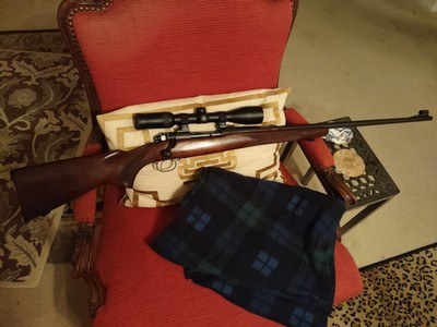 Winchester Model 70 Pre-64, .220 Swift - Image 6 of 15