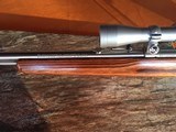 Marlin Model 883-SS - Bolt Action .22 WMR - Rifle - 9 of 15