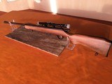 Glenfield Model 25 - Bolt Action - .22 LR Rifle - 4 of 15