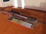 Glenfield Model 25 - Bolt Action - .22 LR Rifle - 9 of 15