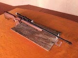 Glenfield Model 25 - Bolt Action - .22 LR Rifle - 12 of 15