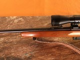 Marlin Model 25MN - Bolt Action - .22 Magnum Rifle - 9 of 15