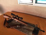 Marlin Model 25 MN - Bolt Action - .22 Magnum Rifle - 14 of 15