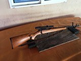 Winchester Model 131 - Bolt Action - .22 LR Rifle - 9 of 15