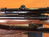 Winchester Model 75 - Bolt Action - .22 LR Target Rifle - 6 of 15