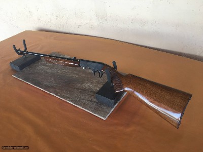 Interarms Model 22 ADT- Semi - Auto -Takedown .22 LR Rifle
