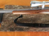 Marlin Model 883SS - Bolt Action - .22 WMR Rifle - 7 of 15
