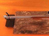Marlin Model 883 SS - Bolt Action - 22 WMR Rifle - 7 of 15