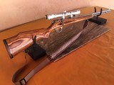 Marlin Model 883 SS - Bolt Action - 22 WMR Rifle - 1 of 15