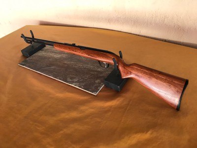 Sears Model 25 - Semi - Auto - .22 Rifle