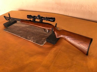 Sears Model 25 - Semi - Auto - .22 Rifle - Image 1 of 15