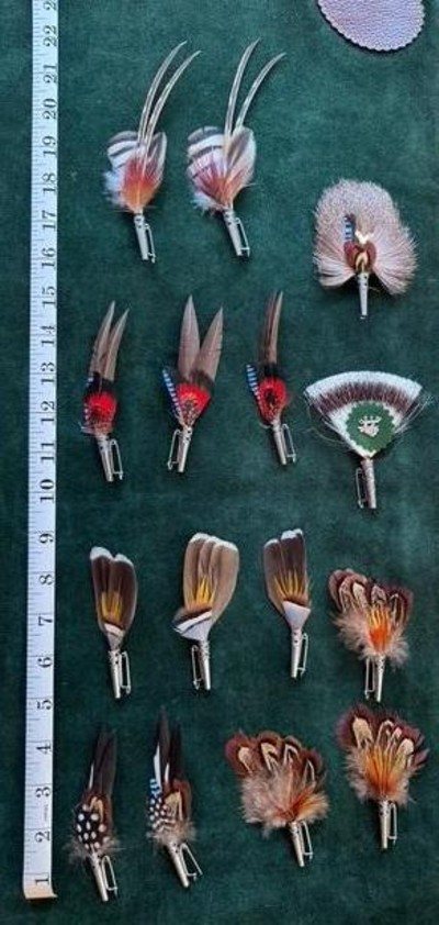 EXOTIC EUROPEAN FEATHER HAT PINS