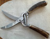 POULTRY SHEARS WITH EUROPEAN RED STAG HANDLES, MADE BY SOLINGEN GERMANY, NEW. - Image 3 of 3