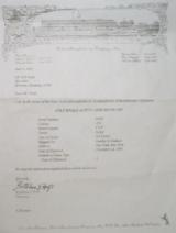 Colt Single Action Army - Nickel - Wood - 1882 - 20 of 20