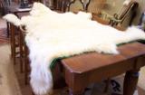 Huge Legal Polar Bear Rug - 3 of 10