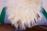 Huge Legal Polar Bear Rug - 10 of 10