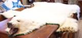 Huge Legal Polar Bear Rug - 1 of 10