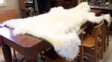 Huge Legal Polar Bear Rug - 5 of 10