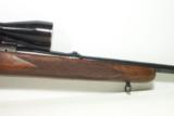 Winchester Model 70 - 22 Hornet - 4 of 19
