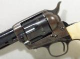 Colt Single Action Army 45—Factory Blue & Ivory Grips circa 1907 - 7 of 19