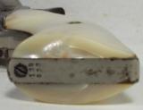 Colt SAA 38/40 NICKEL/PEARL MADE 1890 - 19 of 19
