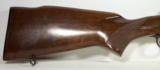 Winchester Model 70—243Varmint - 2 of 16