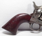 Colt SAA 45 – Nickel Wood 4 ¾” 1881 - 2 of 19