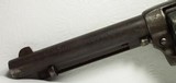 Texas Shipped Colt Single Action Army 44-40 circa 1900 - 8 of 22