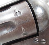 Colt SAA U.S. New Jersey Militia 1885 - 6 of 25