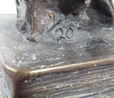 Collection of 4 Bronze Busts by Texas Artist Don Ray - 19 of 23