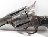 Colt SAA 44-40 Made 1904 – 4 ¾” - 7 of 19