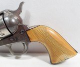 Colt SAA 45 Nickel/Ivory – Shipped 1884 - 6 of 18