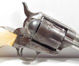 Colt SAA 45 – Shipped 1884 - 9 of 19